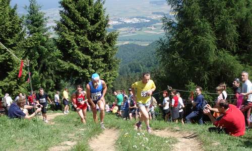 Gorski tek na Osolnik - Osolnik Mountain Race, Slovenia - the last steep climb to the finish (Copyright © 2015 Hendrik Böttger / runinternational.eu)